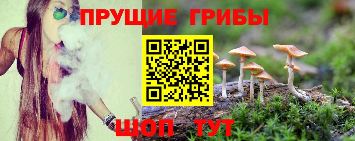 Галлюциногенные грибы GOLDEN TEACHER Похвистнево