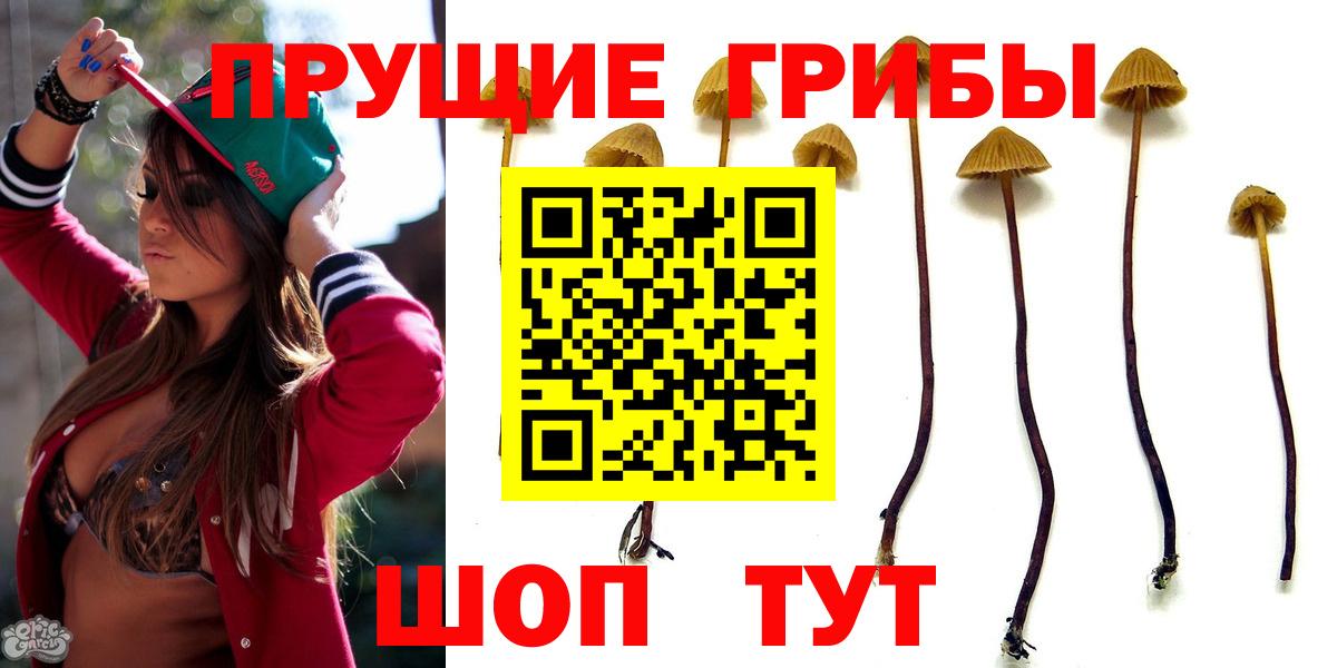 Галлюциногенные грибы мухоморы  Вход с VPN  наркота  Похвистнево 
